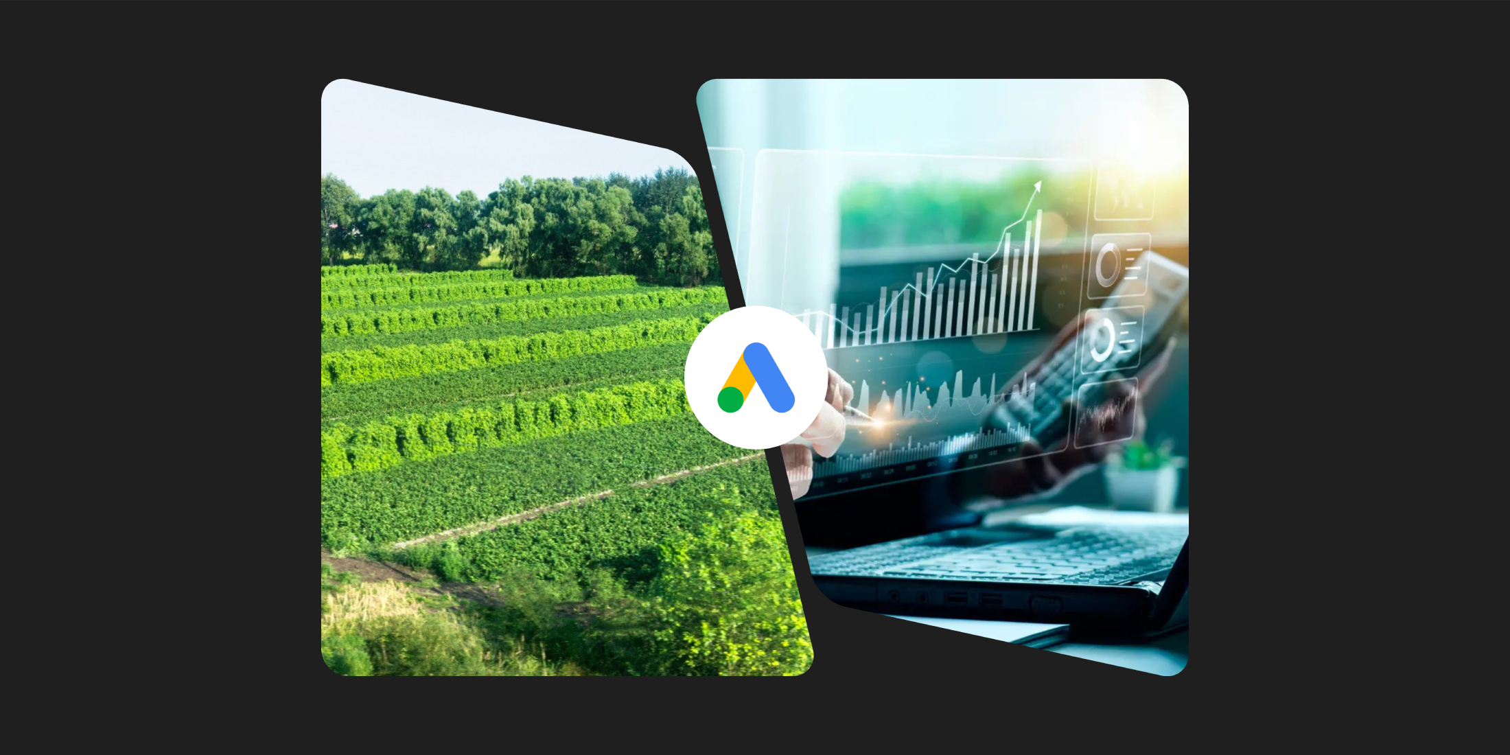 Studiu de caz: 147.408 lei vânzări cu doar 4.347 lei investiți în Google Ads – ROAS de 33,90!